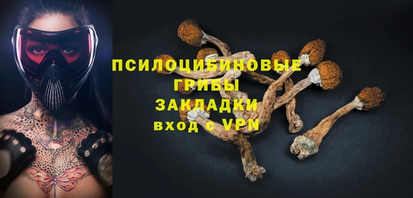 ПСИЛОЦИБИНОВЫЕ ГРИБЫ Алексеевка