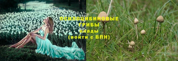 не бодяженный Новодвинск