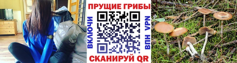 darknet Telegram  Саки  Псилоцибиновые грибы мухоморы 